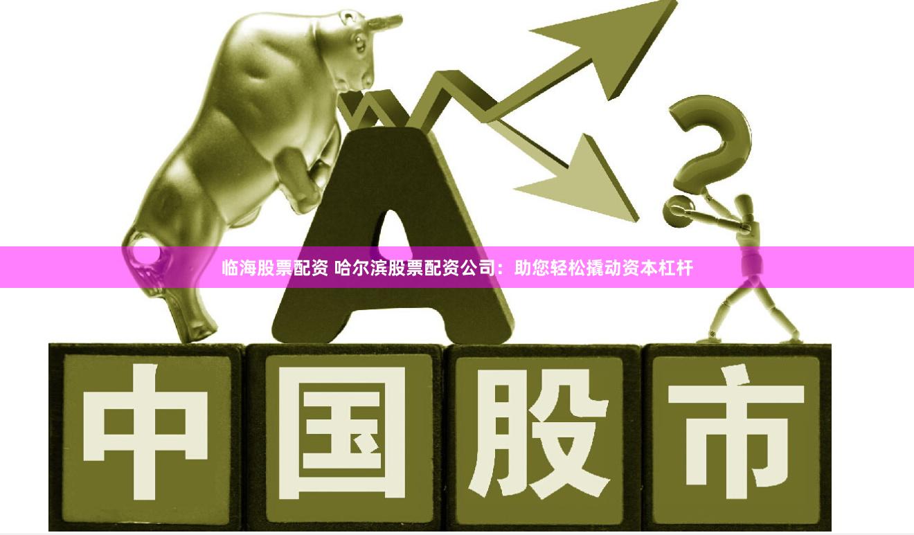 临海股票配资 哈尔滨股票配资公司：助您轻松撬动资本杠杆